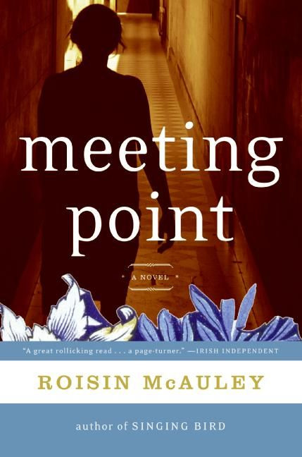 Meeting Point: A Novel book cover by Roisin McAuley
