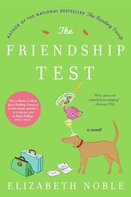 The Friendship Test: A Novel book cover by Elizabeth Noble