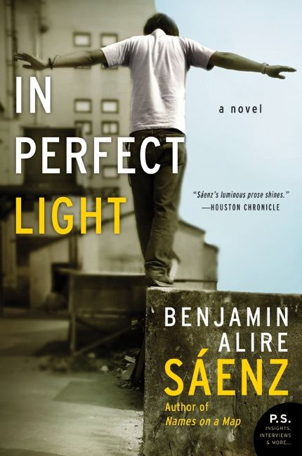 In Perfect Light: A Novel book cover by Benjamin Alire Sáenz