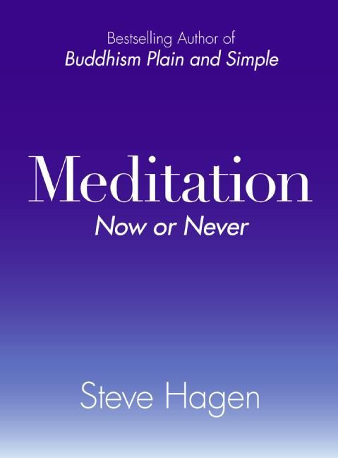 Meditation Now or Never book cover by Steve Hagen