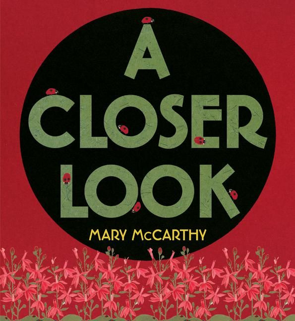 A Closer Look book cover by Mary McCarthy