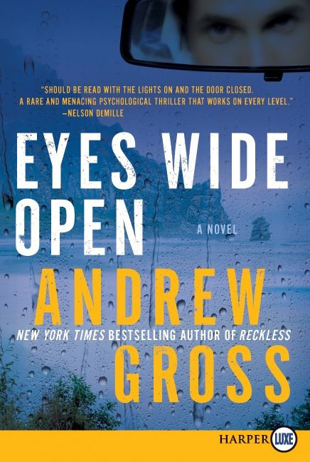 Eyes Wide Open: A Novel book cover by Andrew Gross