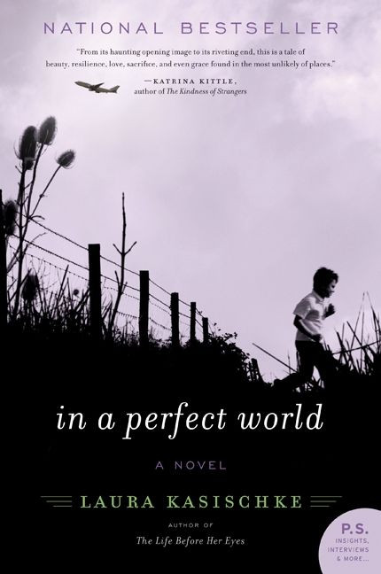 In a Perfect World: A Novel book cover by Laura Kasischke