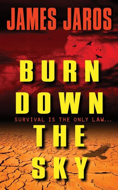Burn Down the Sky book cover by James Jaros