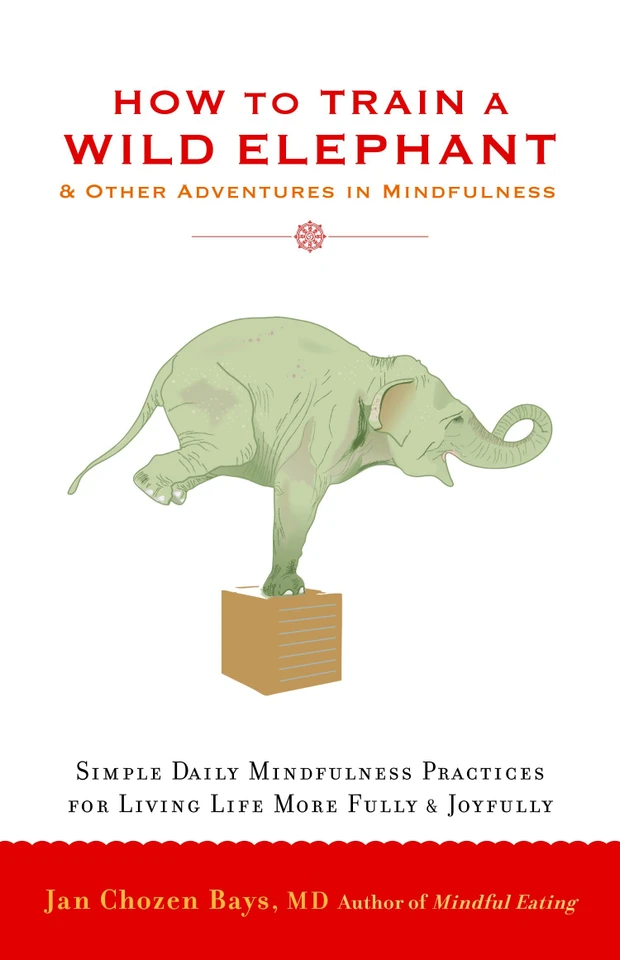 How to Train a Wild Elephant: And Other Adventures in Mindfulness book cover by Jan Chozen Bays