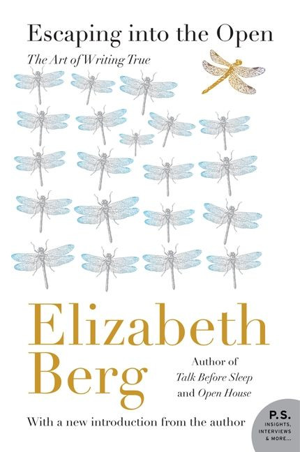 Escaping into the Open: The Art of Writing True book cover by Elizabeth Berg