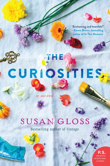 The Curiosities: A Novel book cover by Susan Gloss
