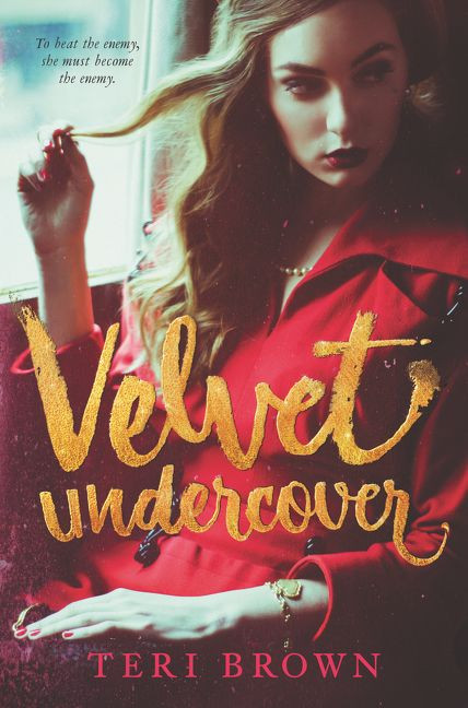 Velvet Undercover book cover by Teri Brown