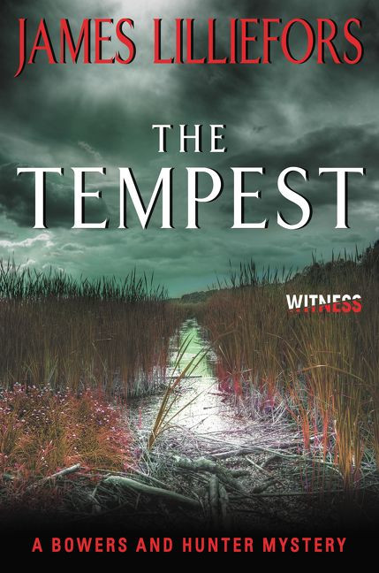 The Tempest: A Bowers and Hunter Mystery (Bowers and Hunter Mysteries #2) book cover by James Lilliefors