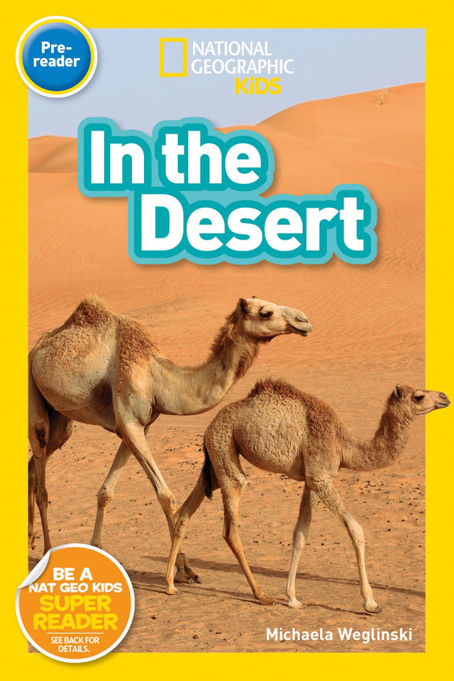 In the Desert cover
