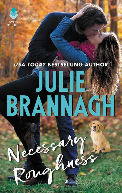 Necessary Roughness book cover by Julie Brannagh