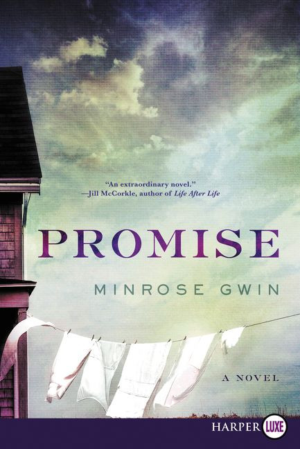 Promise: A Novel book cover by Minrose Gwin