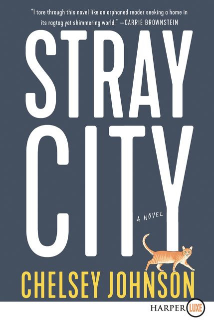 Stray City: A Novel book cover by Chelsey Johnson