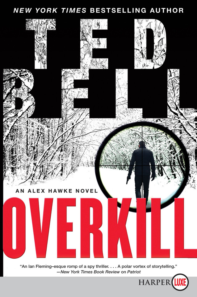 Overkill: An Alex Hawke Novel (Alex Hawke Novels #10) book cover by Ted Bell