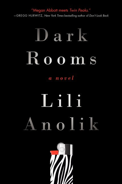 Dark Rooms: A Novel book cover by Lili Anolik