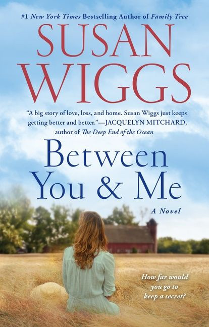 Between You and Me: A Novel book cover by Susan Wiggs