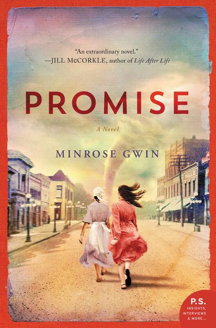 Promise: A Novel book cover by Minrose Gwin