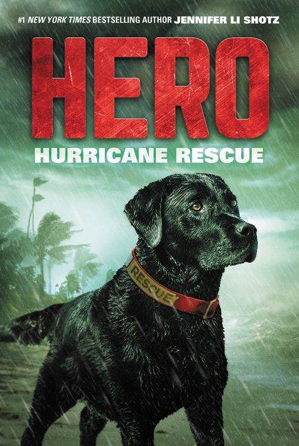 Hero: Hurricane Rescue (Hero #2) book cover by Jennifer Li Shotz