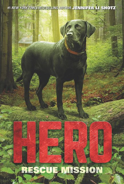Hero: Rescue Mission (Hero #3) book cover by Jennifer Li Shotz