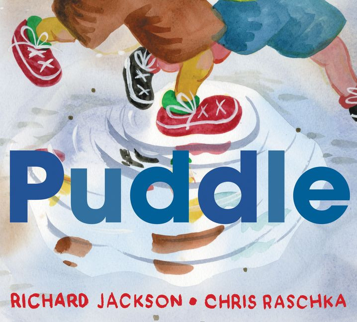 Puddle book cover by Richard Jackson