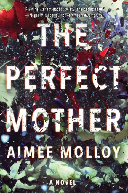 The Perfect Mother: A Novel book cover by Aimee Molloy