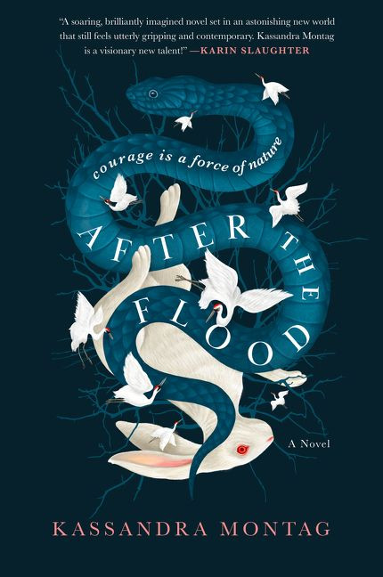 After the Flood: A Novel book cover by Kassandra Montag