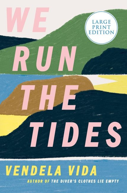 We Run the Tides: A Novel book cover by Vendela Vida