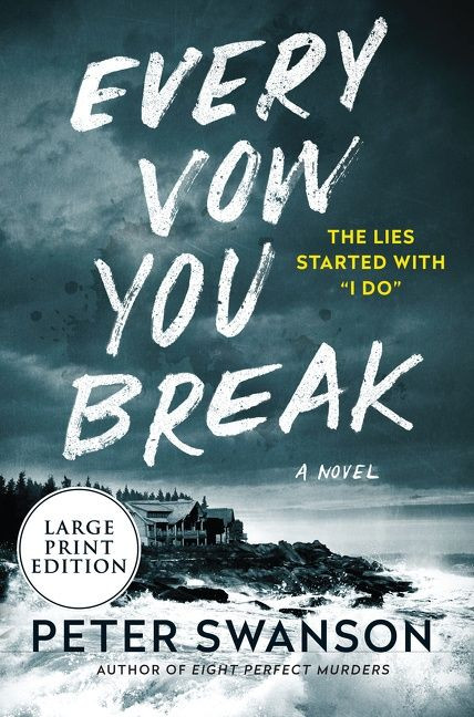Every Vow You Break: A Novel book cover by Peter Swanson