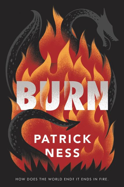 Burn book cover by Patrick Ness