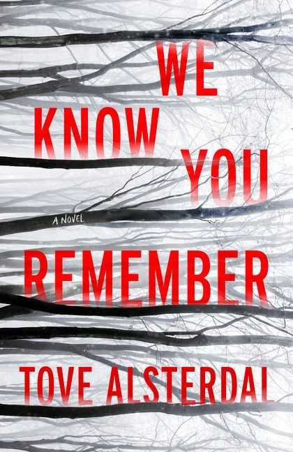We Know You Remember: A Novel book cover by Tove Alsterdal