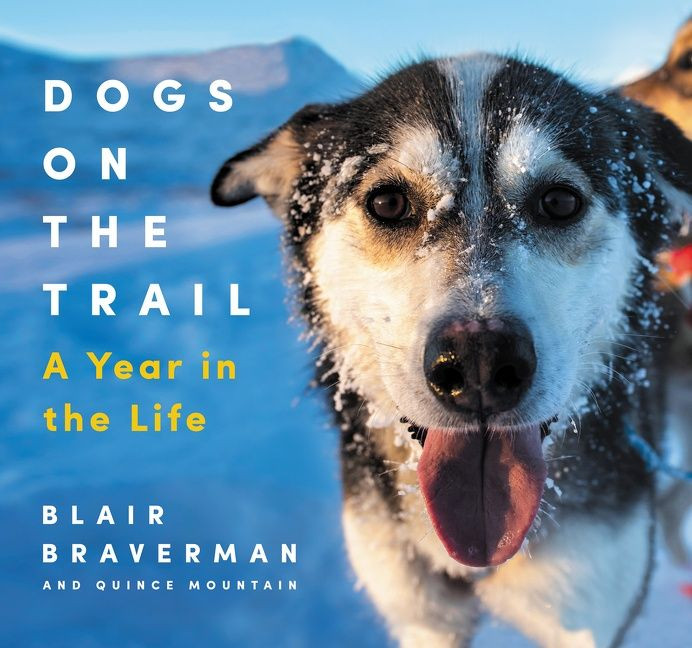 Dogs on the Trail: A Year in the Life book cover by Blair Braverman, Quince Mountain