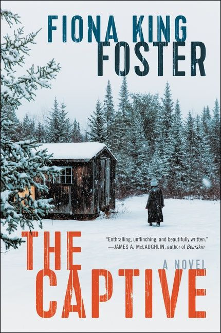 The Captive: A Novel book cover by Fiona King Foster