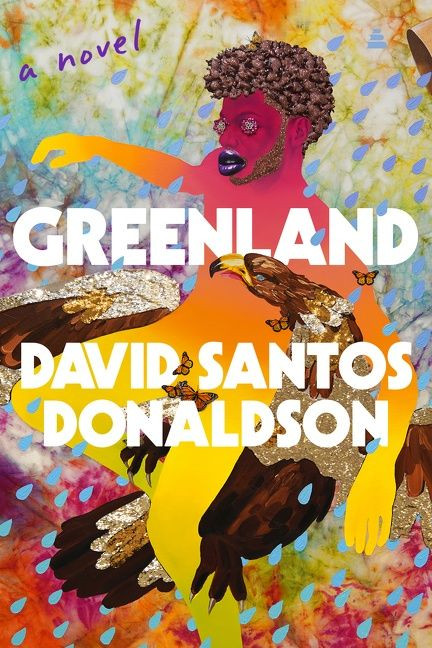 Greenland: A Novel book cover by David Santos Donaldson