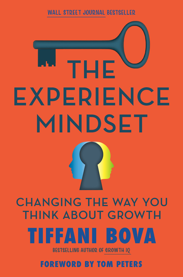 The Experience Mindset: Changing the Way You Think About Growth book cover by Tiffani Bova