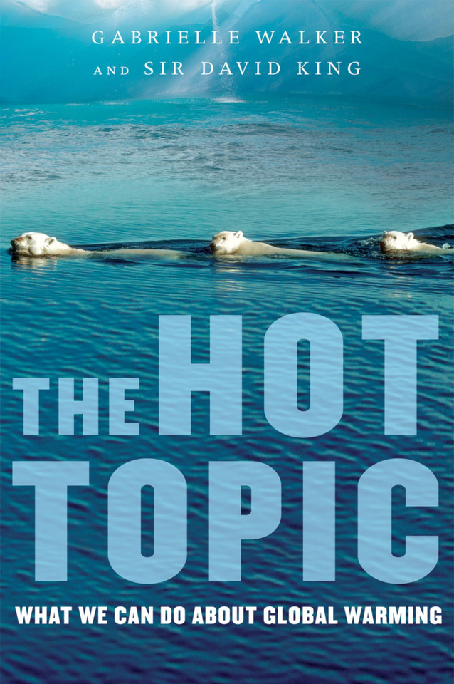 The Hot Topic: What We Can Do About Global Warming book cover by Gabrielle Walker, David King