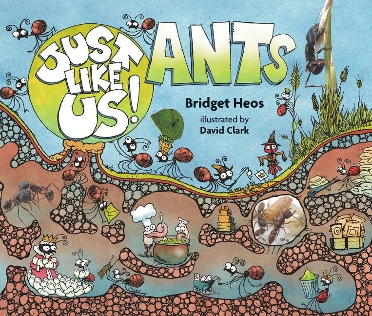 Just Like Us! Ants (Just Like Us! #10) book cover by Bridget Heos