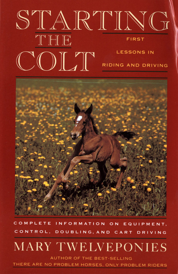 Starting The Colt book cover by Mary Twelveponies