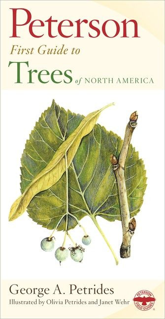 Peterson First Guide To Trees (Peterson First Guide) book cover by George A. Petrides, Roger Tory Peterson