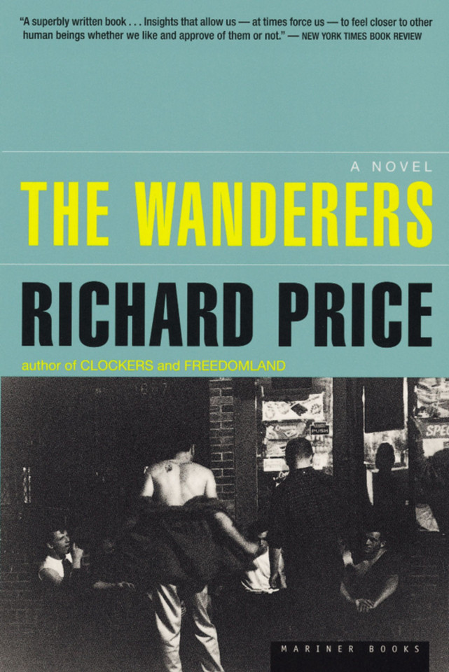 The Wanderers book cover by Richard Price