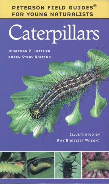 Caterpillars (Peterson Field Guides: Young Naturalists #7) book cover by Karen Stray Nolting, Amy Bartlett Wright