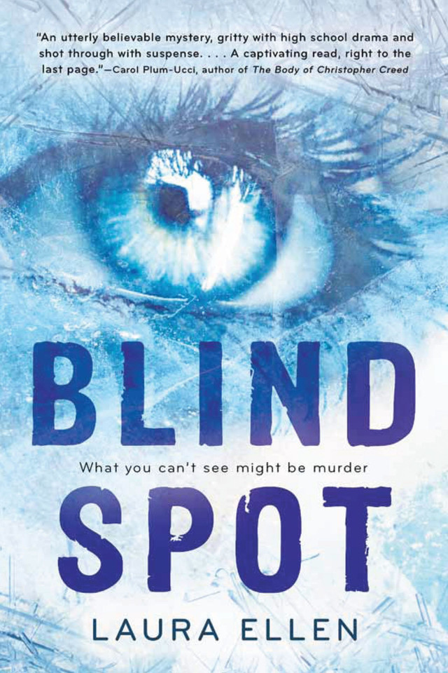 Blind Spot book cover by Laura Ellen