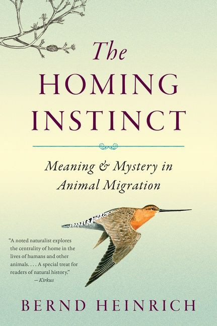 The Homing Instinct: Meaning and Mystery in Animal Migration book cover by Bernd Heinrich