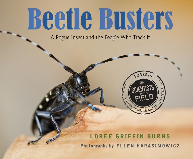 Beetle Busters: A Rogue Insect and the People Who Track It (Scientists in the Field) book cover by Loree Griffin Burns
