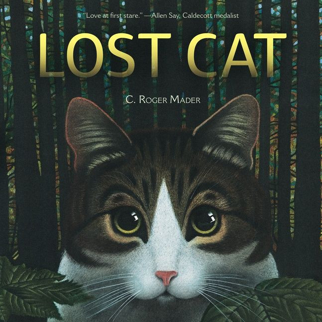 Lost Cat book cover by Roger Mader
