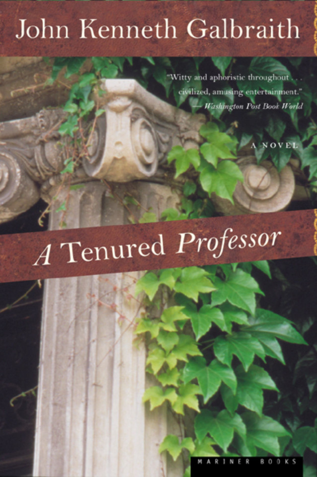 A Tenured Professor book cover by John Kenneth Galbraith
