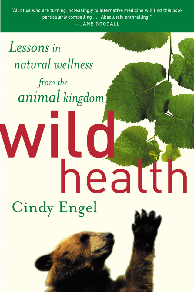 Wild Health: Lessons in Natural Wellness from the Animal Kingdom book cover by Cindy Engel