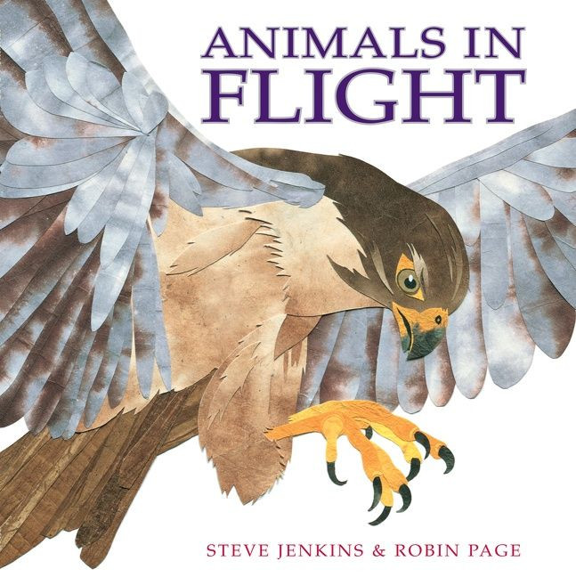 Animals in Flight book cover by Robin Page