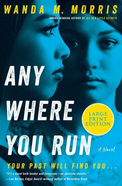 Anywhere You Run: A Novel book cover by Wanda M. Morris