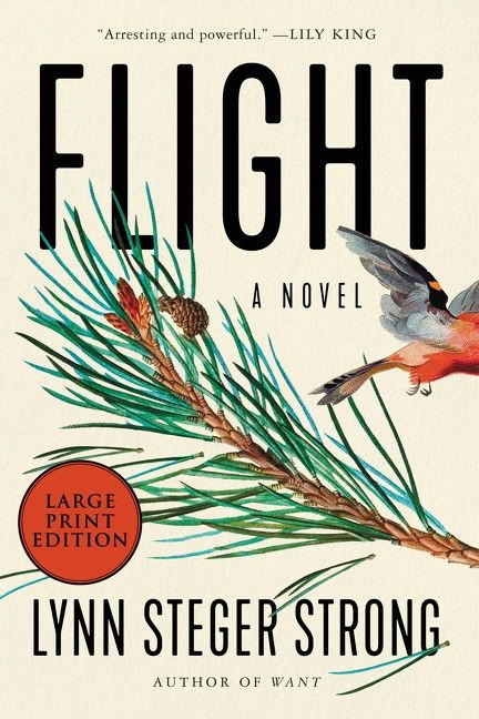 Flight: A Novel book cover by Lynn Steger Strong