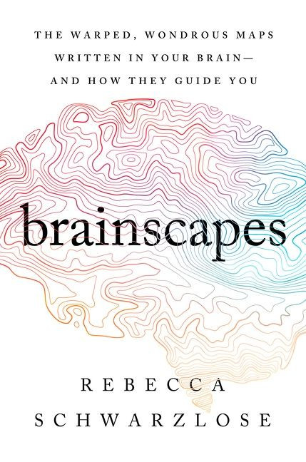 Brainscapes: The Warped, Wondrous Maps Written in Your Brain—And How They Guide You book cover by Rebecca Schwarzlose